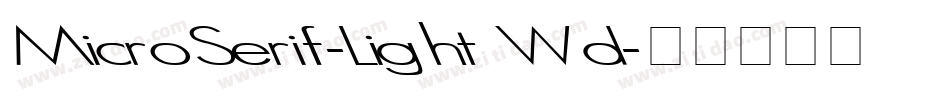 MicroSerif-Light Wd字体转换